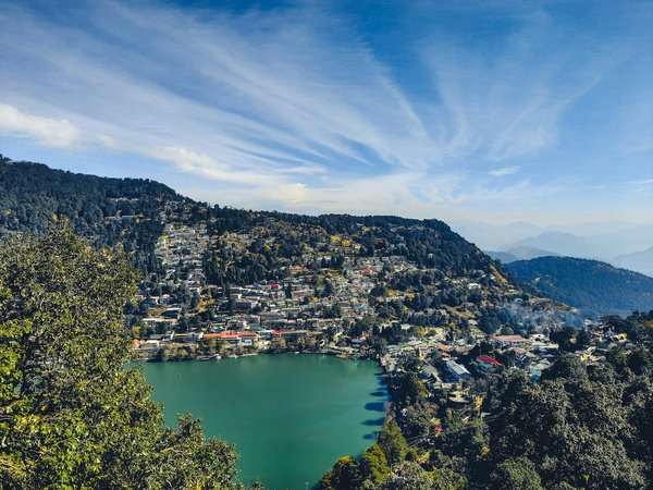 Quelle est la contribution des forêts urbaines à la qualité de l'air ?